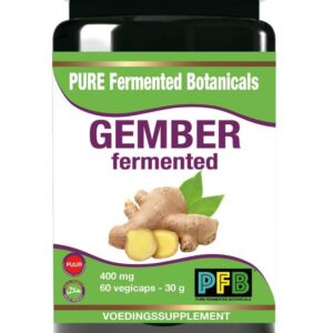 SNP Gember fermented 400mg