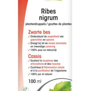 Physalis Ribes nigrum bio