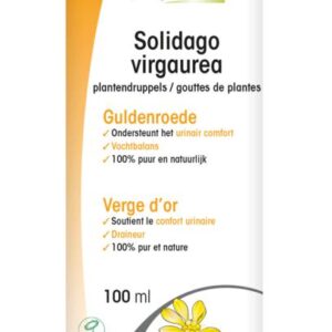 Physalis Solidago virgaurea bio