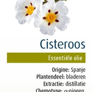 Physalis Cisteroos bio