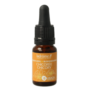 Ladrome Chicoree chicory bio