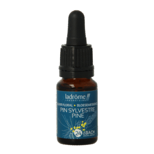 Ladrome Pine / Den 24 bio