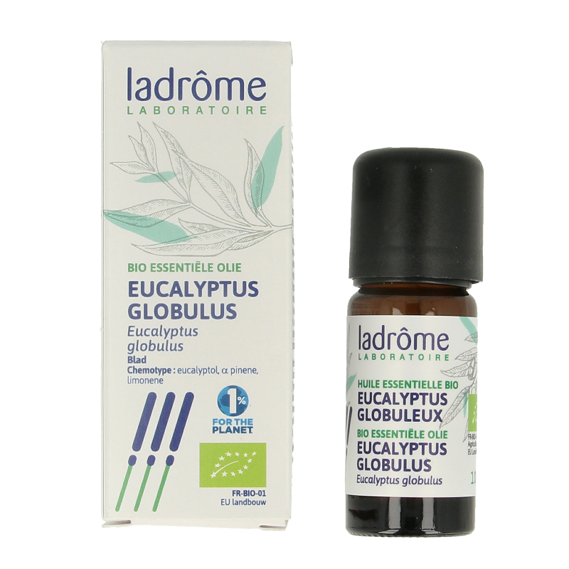 Ladrome Eucalyptus globulus olie bio - Afbeelding 2