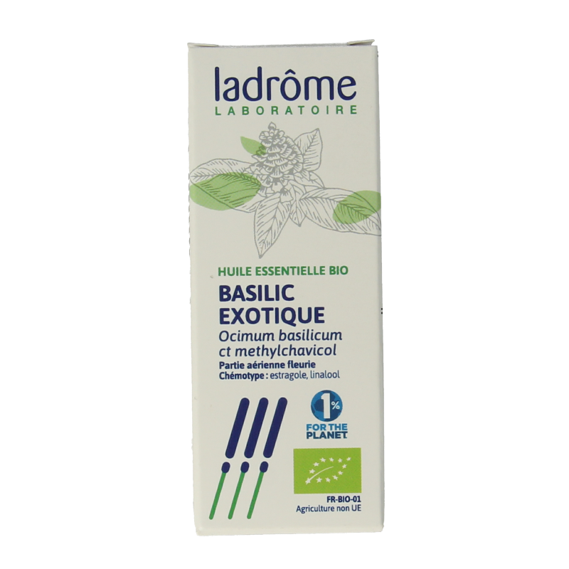 Ladrome Basilicum CT methylchavicol - Afbeelding 4
