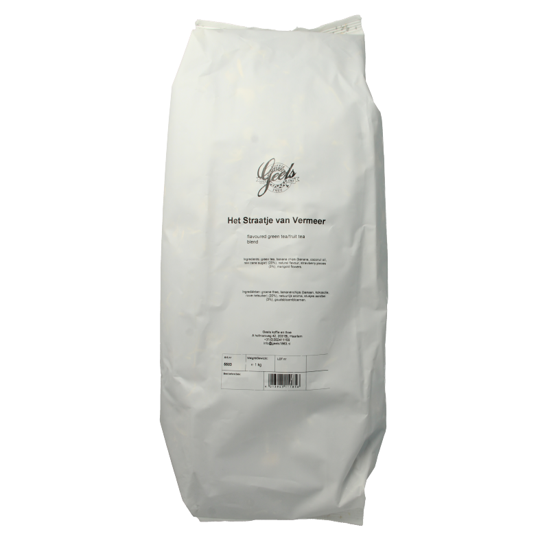 Geels Het straatje van Vermeer