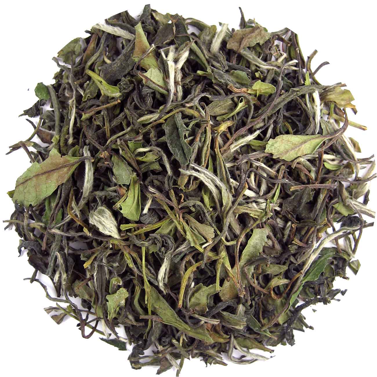 Geels China pai mu than superior