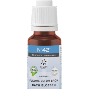 Bach Bloesem Bach bloesems mengeling 42 vertrouwen bio