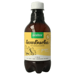 Purasana Kombucha gember vegan bio