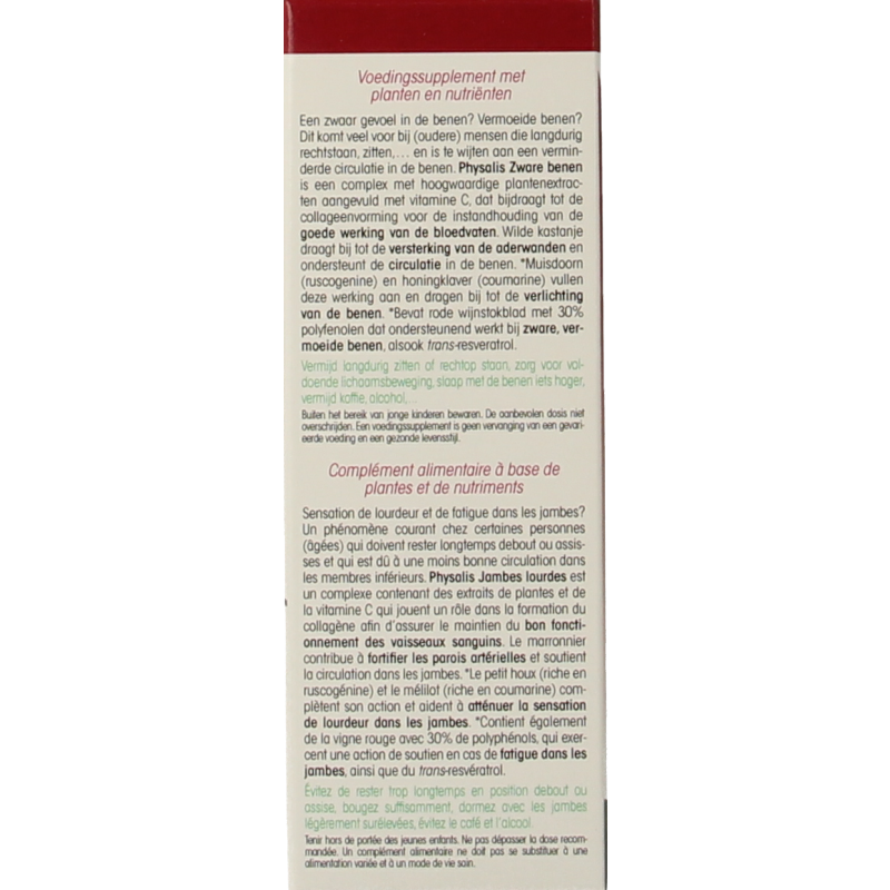 Physalis Zware benen - Afbeelding 2