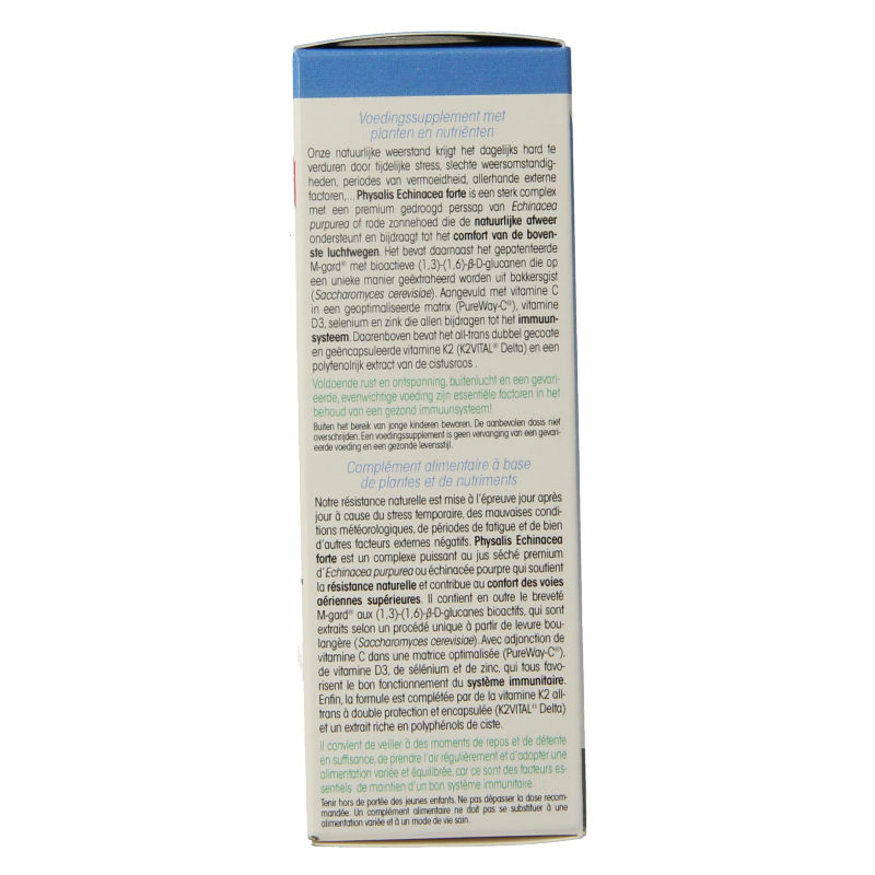 Physalis Echinacea forte - Afbeelding 2