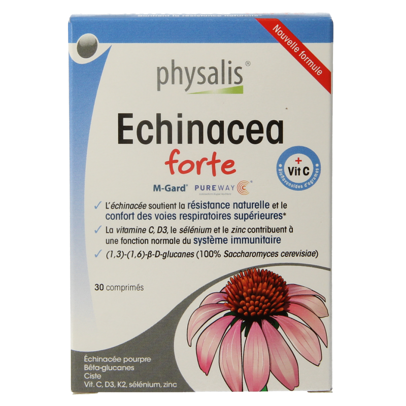 Physalis Echinacea forte - Afbeelding 3