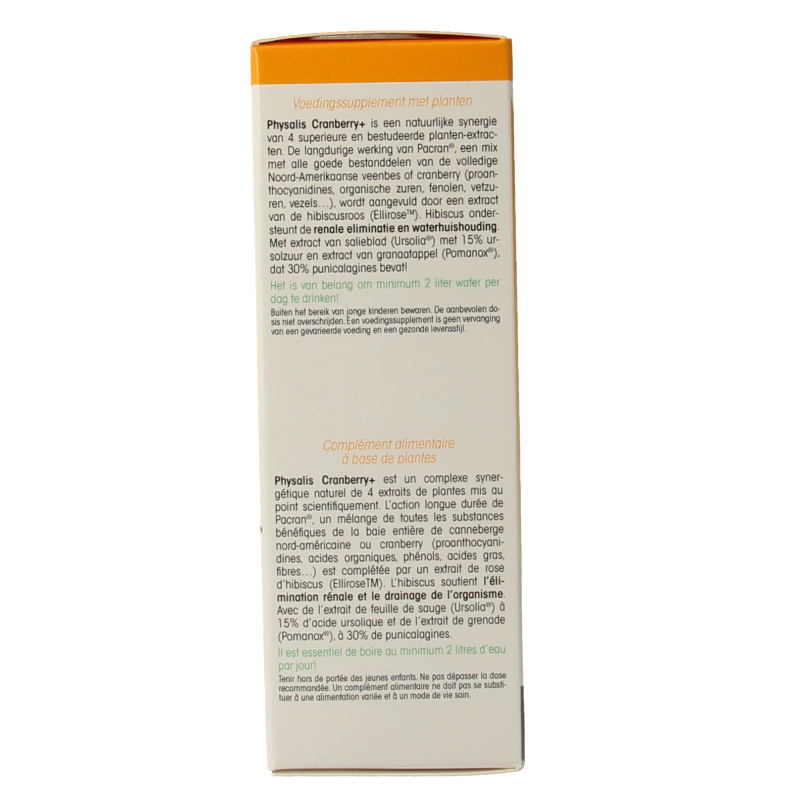 Physalis Cranberry + - Afbeelding 2