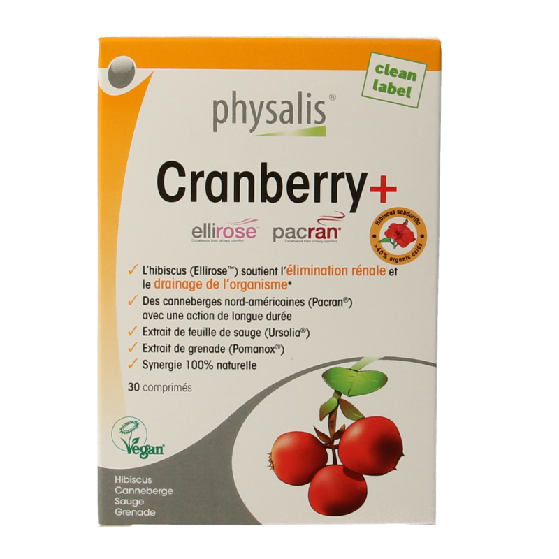 Physalis Cranberry + - Afbeelding 3
