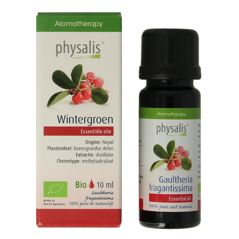 Physalis Wintergreen bio - Afbeelding 2