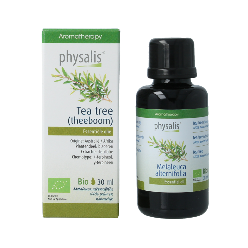 Physalis Tea tree bio - Afbeelding 2