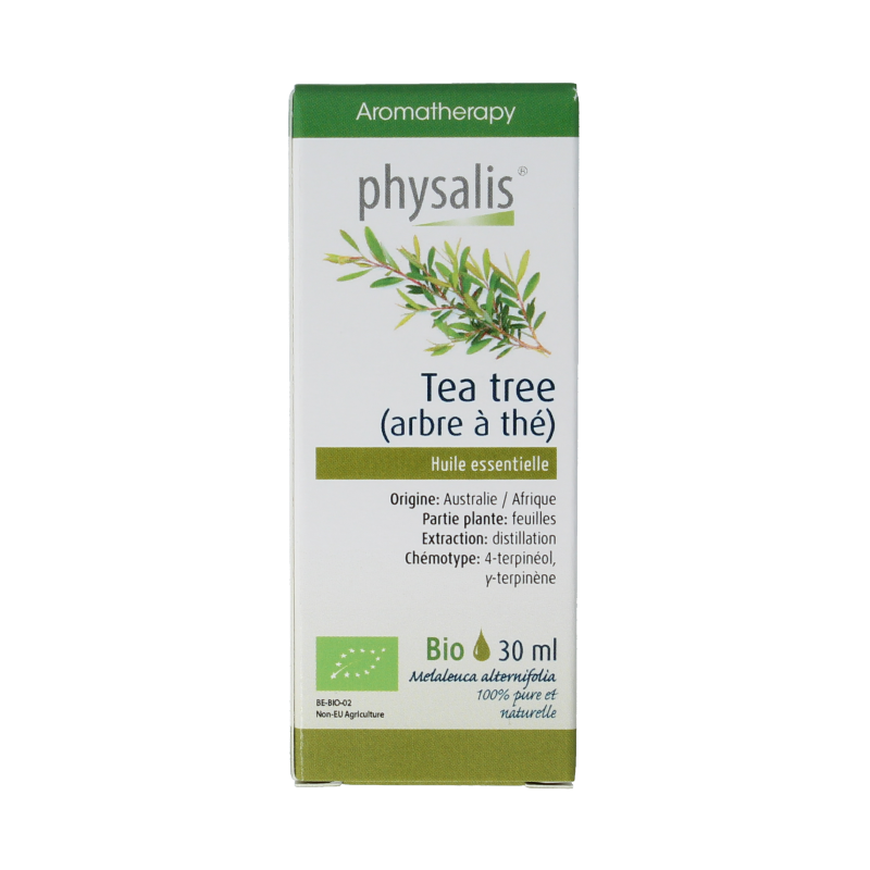 Physalis Tea tree bio - Afbeelding 4