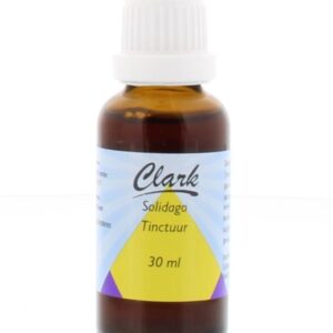 Clark Solidago guldenroede
