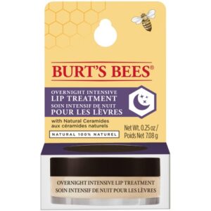Burt's Bees Lip treatment overnight intensive