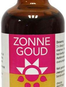 Zonnegoud Carduus marianus complex