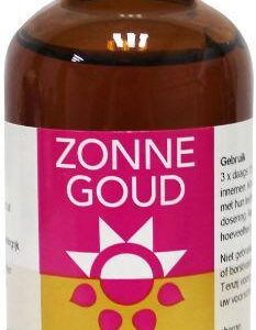 Zonnegoud Angelica simplex