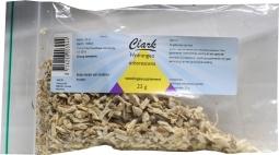 Clark Hydrangea officinalis