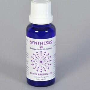 Vita Syntheses 54 energetische lichamen