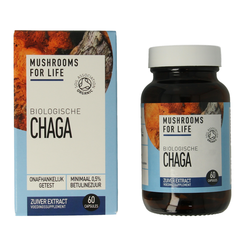 Mushrooms for Life Chaga bio - Afbeelding 2