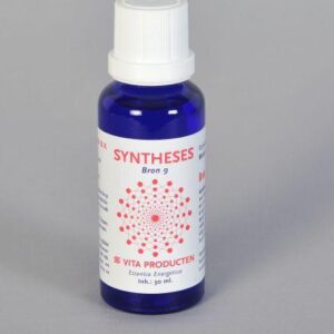 Vita Syntheses bron 9 metafysische energie