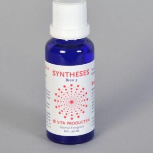 Vita Syntheses bron 5 existentie