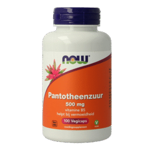 NOW Pantotheenzuur 500mg (B5)
