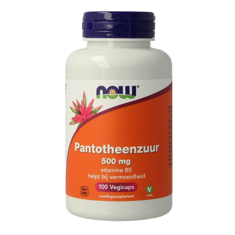 NOW Pantotheenzuur 500mg (B5)
