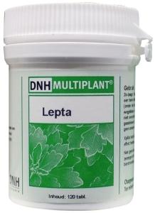 DNH Lepta multiplant