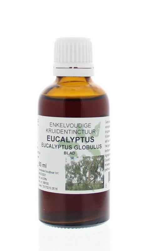 Cruydhof Eucalyptus globulus folia tinctuur