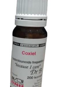 DNH Coxiel
