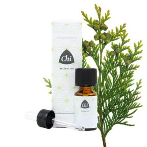 Chi Thuja wild