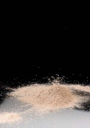 Meenk Zwart wit zout