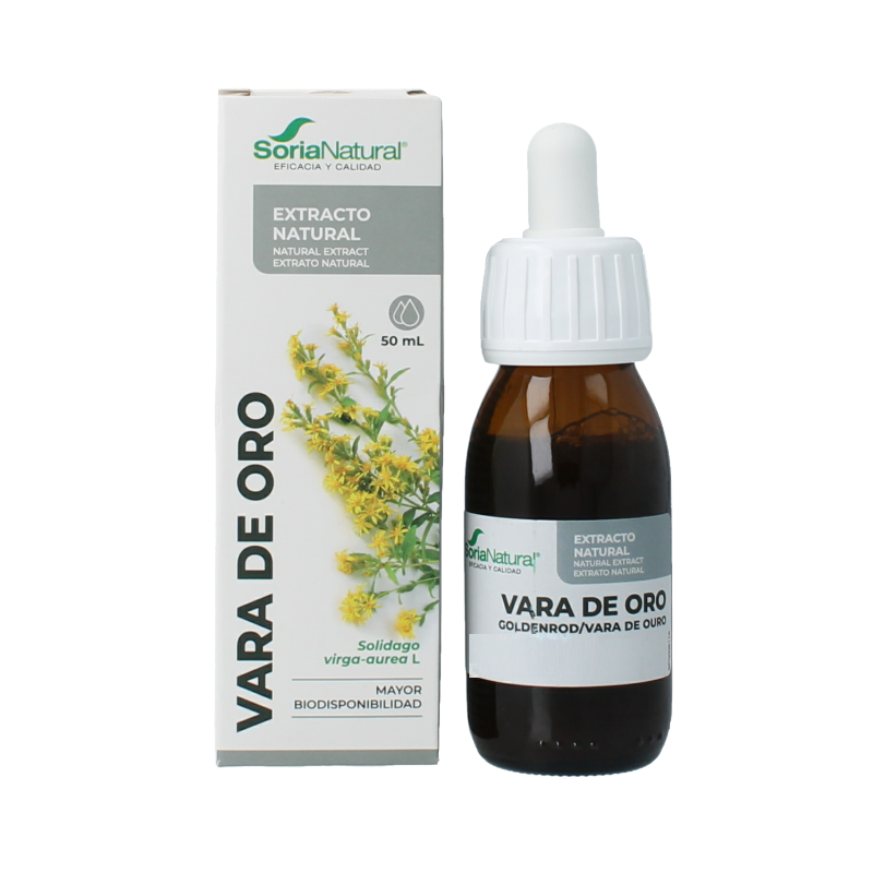 Soria Natural Solidago virgaurea extract - Afbeelding 2