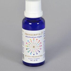 Vita Transcriptie 7 mitochondrium orgaan