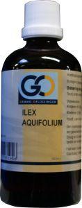 GO Ilex aquafolium