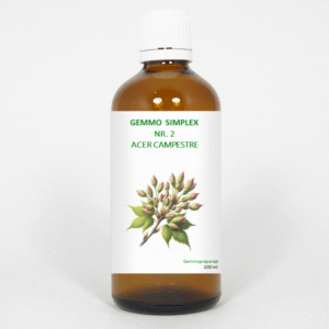 Balancepharma Gemmo simplex 2 acer campestre
