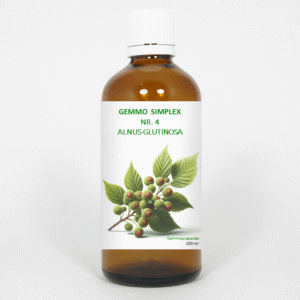 Balancepharma Gemmo simplex 4 alnus glutinosa