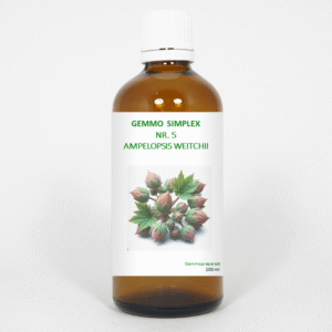 Balancepharma Gemmo simplex 5 ampelopsis weitchii