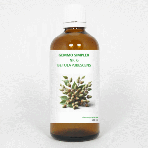 Balancepharma Gemmo simplex 6 betula pubescens