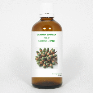 Balancepharma Gemmo simplex 9 cedrus libani
