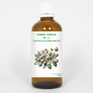 Balancepharma Gemmo simplex 11 crataegus oxyacantha