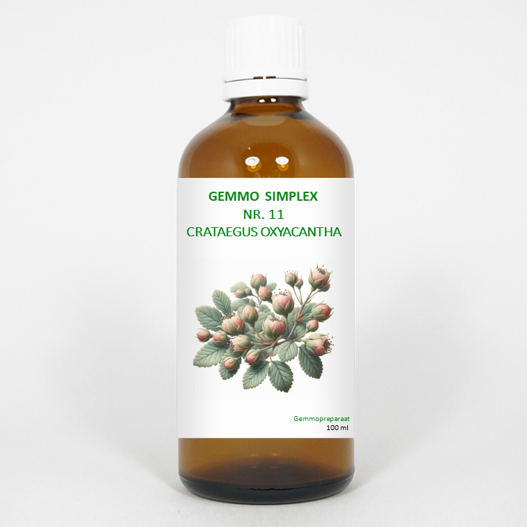 Balancepharma Gemmo simplex 11 crataegus oxyacantha