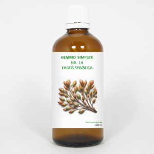 Balancepharma Gemmo simplex 14 fagus sylvatica