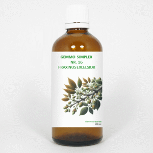 Balancepharma Gemmo simplex 16 fraxinus excelsior