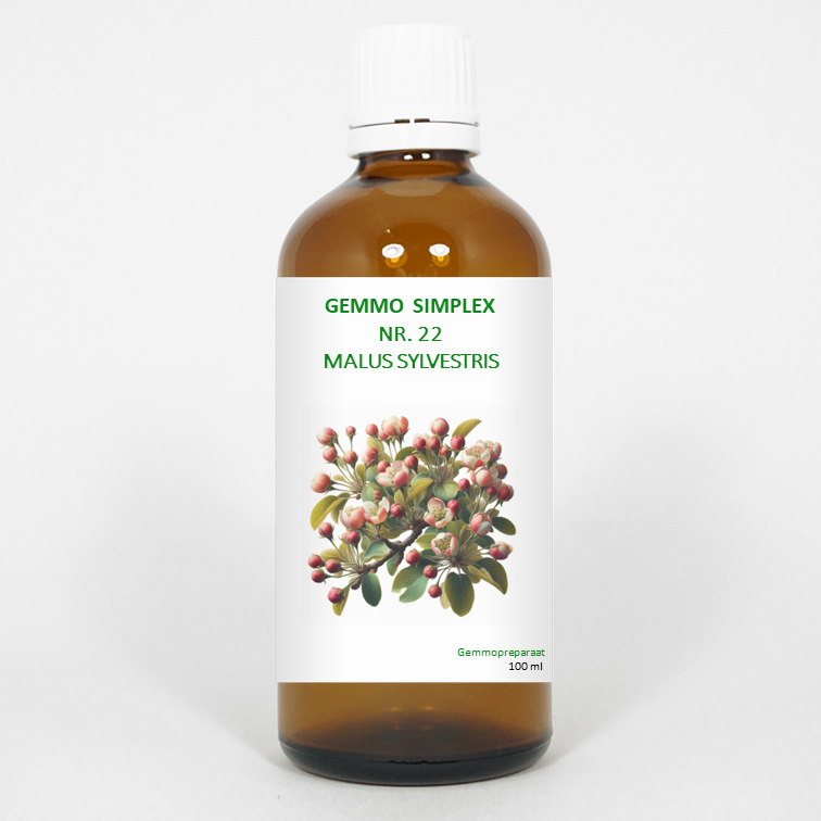 Balancepharma Gemmo simplex 22 Malus sylvestris