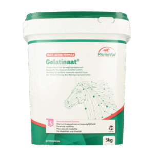 Primeval Gelatinaat paard